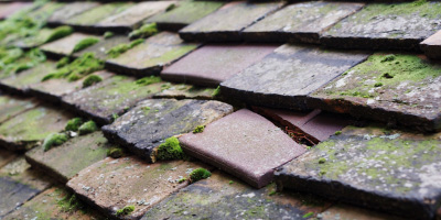 Llantrisant roof repair costs
